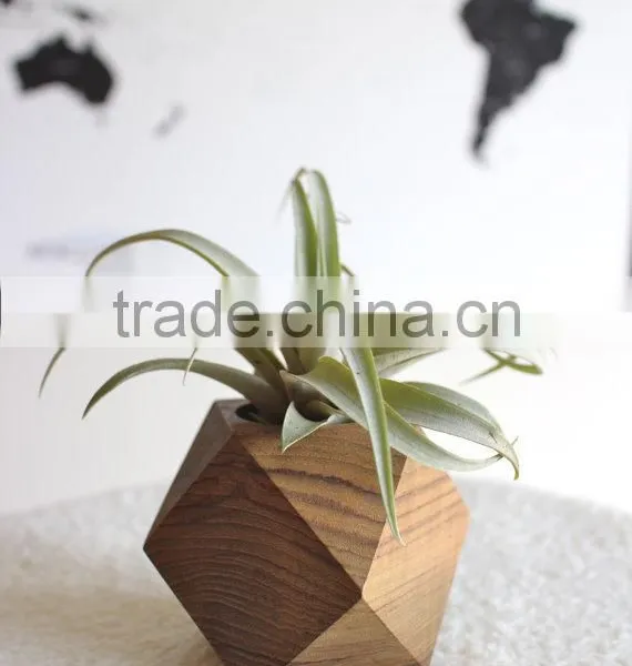Teak Wood Planters photo-2