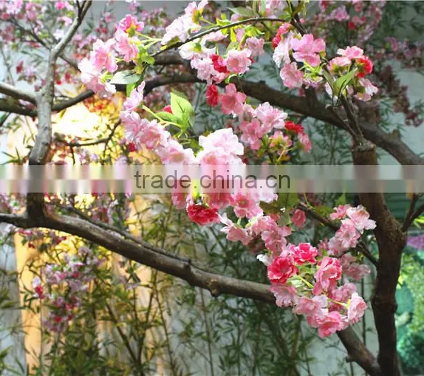 Cherry Flower Tree Man Made Sakura Plant Tree photo-3