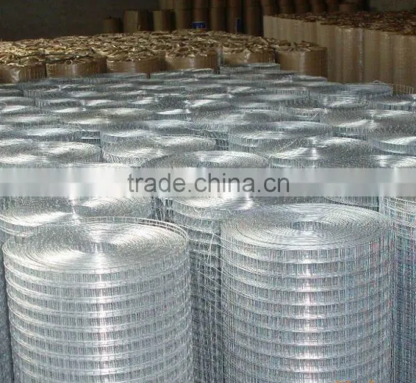 China Supplier Welded Wire Mesh photo-6