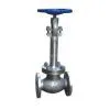 Cyclogenic Globe Valve