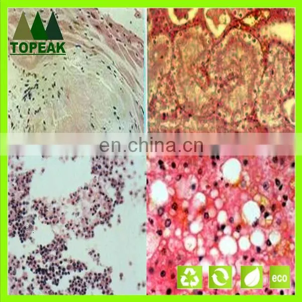 Laboratory Research Human Histology Prepared Microscope Slides Educational Prepared Slides