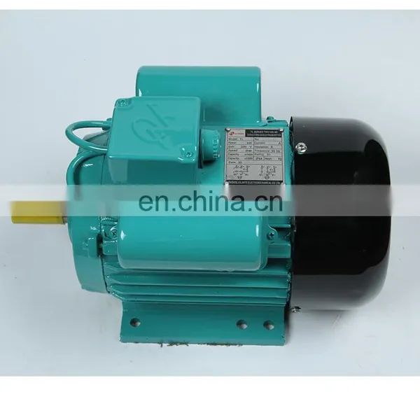 Buy 4kw 5.5hp Electric Motors Single Phase 220v Heavy Duty Bbq Rotisserie Motor photo-6