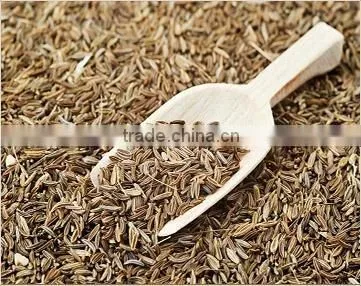 Indian Cumin Seed
