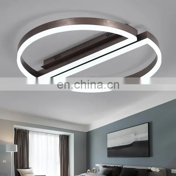 Fashion Simple Round Restaurant Lighting Led Ceiling Light for Living Room photo-4