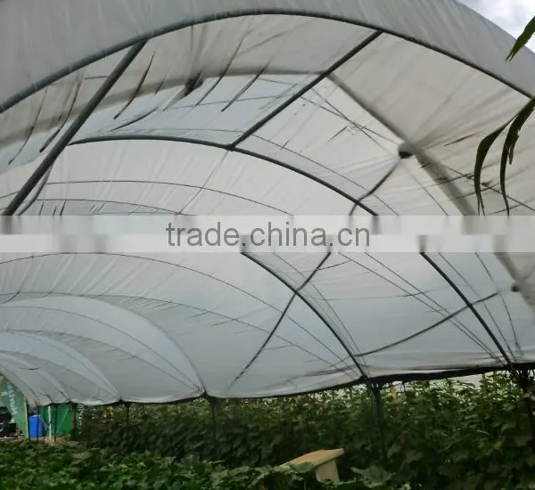 Greenhouse Structure Pole Ancher Stake in Horn Shape photo-6