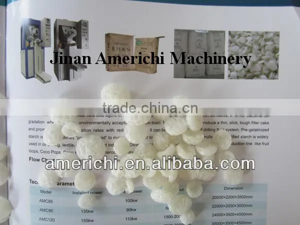 Pregelatinized Starch Extrusion Machine photo-2