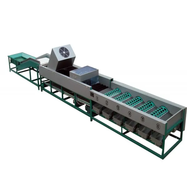 Citrus Waxing Machine Fruit Washing and Waxing Machine Fruit Waxing Machine