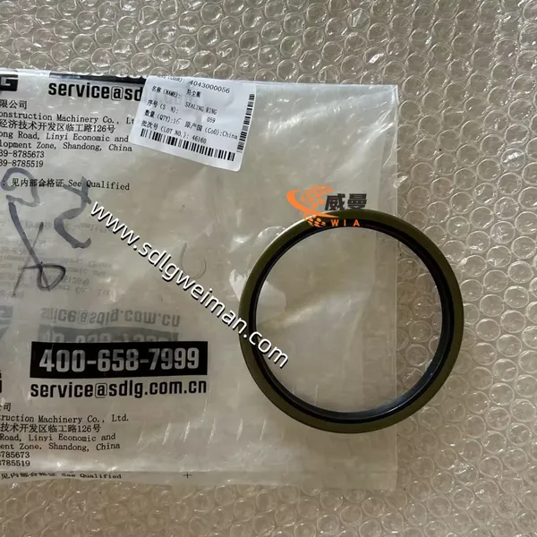 4043000056 Seal Ring photo-2