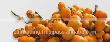 Betelnut Premium Quality photo-6