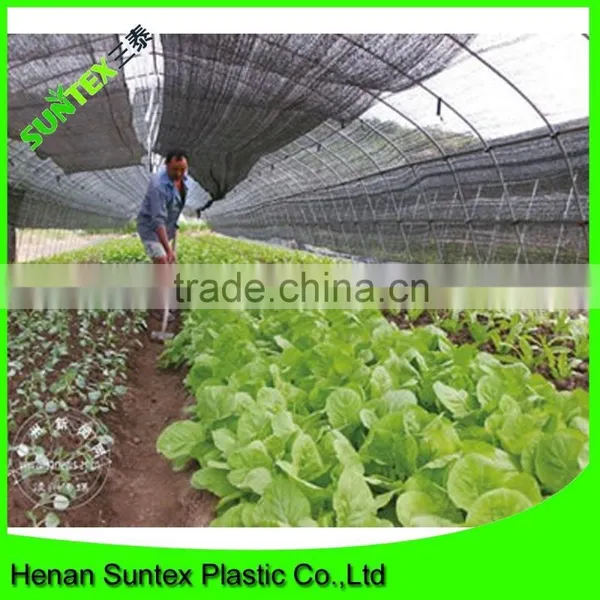 Blue Agriculture Windsurfing Flate Wire Shade Netting photo-2