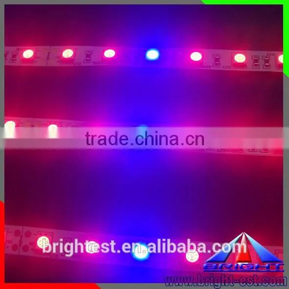 Shenzhen LED Grow Light Strip12V DC,Ws2812 5050 Led Strip Led Plant Grow Light Strip photo-4
