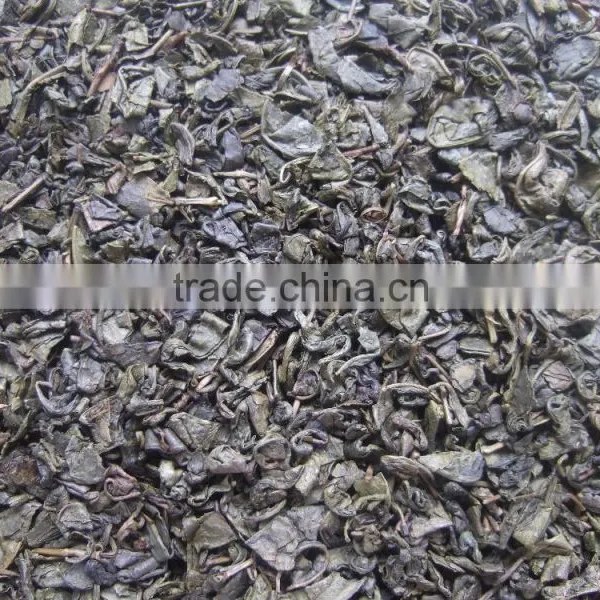 Export Tea From Professional Factory in China Gunpowder Green Tea 9175 photo-2