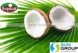 EXTRA VIRGIN COCONUT OIL / VIRGIN COCONUT OIL IN GLASS JARS 500 ML/1000 ML photo-3