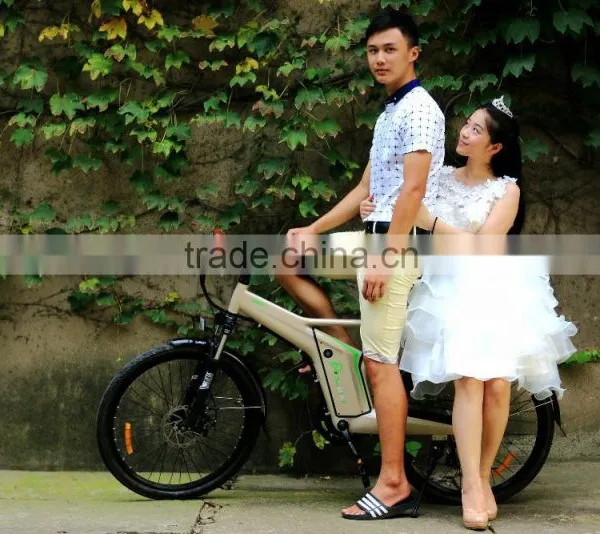 Flyer, 2015 New Design 800w Ce/en15194 Electric Bike photo-4