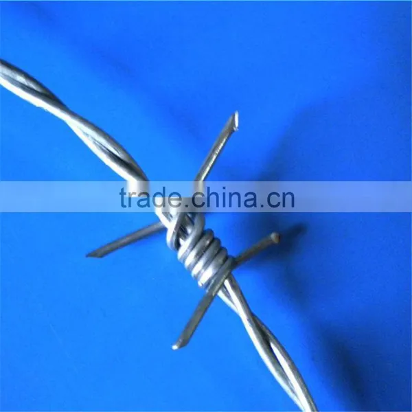 Hot Dipped Barbed Wire for Security photo-6