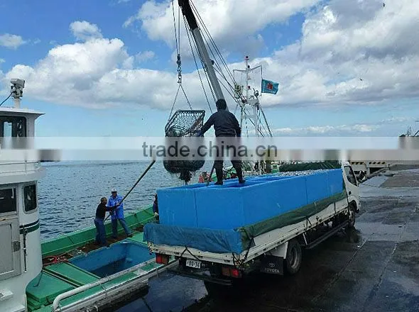 Seafood Processing Cooler Box MCY1000L photo-2