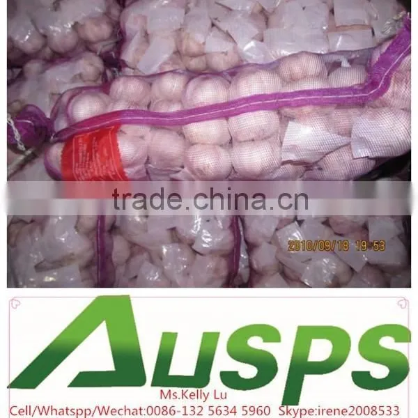 Garlic Price in China photo-3