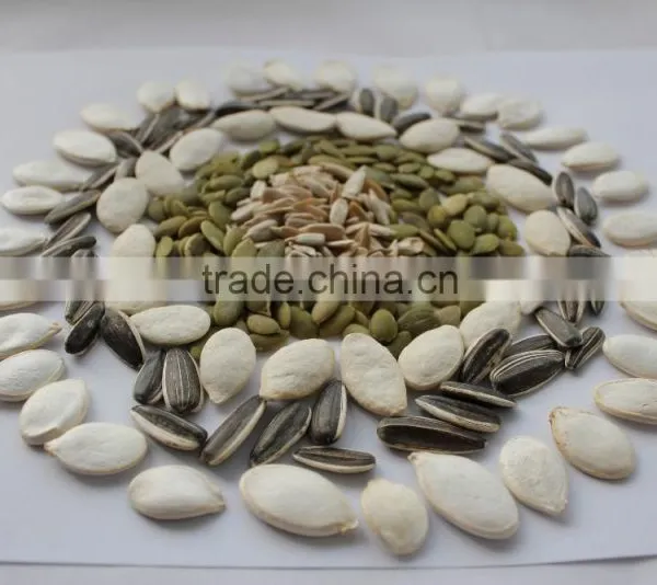 High Quality Grade A Pumpkin Seeds photo-6