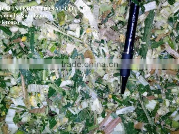 Corn Silage