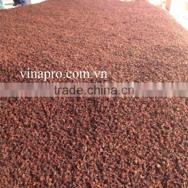 VIETNAMESE SUPPLIER OF BEST QUALITY AUTUMN STAR ANISEED photo-4