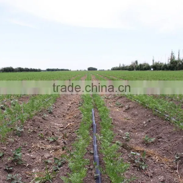 Trickle Irrigation Lines photo-5