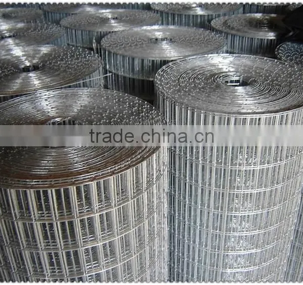 Galvanized Welded Wire Mesh Cheap Welded Wire Mesh Panel photo-4