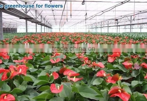 Clear Polycarbonate Sheet With Foldable Shading Net Greenhouse For Vegetables photo-5