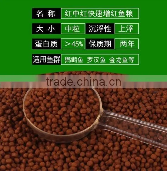 Fish Feed Production Machine photo-4