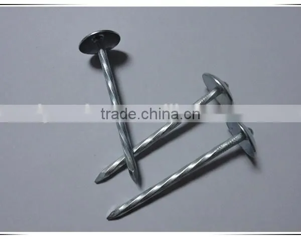 1.5"*14G Umbrella Head Smooth Plain Shank Roofing Nail China Factory photo-3