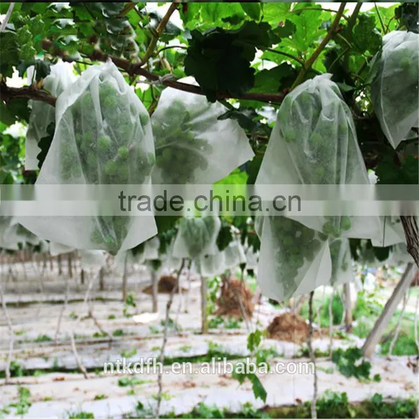 Agriculture Cover pp Spunbond Non Woven photo-3