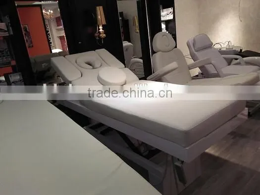 Electric Beauty Bed / Classcial High End Use Massage Table DS-H3815A photo-4
