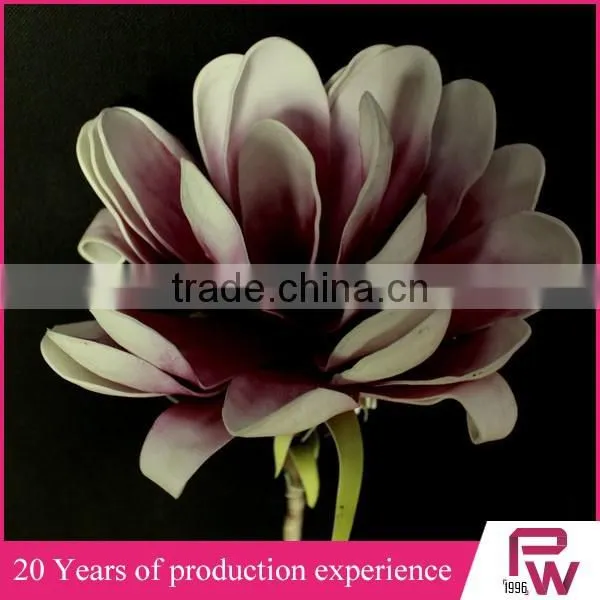 Wholesale Large Indoor Tropical Plants photo-4