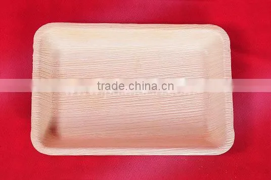 ARECA DISPOSABLE PLATTERS photo-5