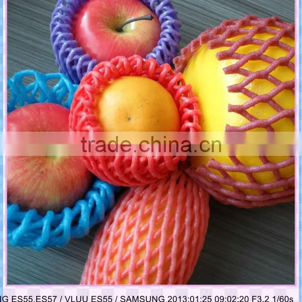 EPE Plastic Fruit Packaging Fruit Protection Net for Papaya photo-5