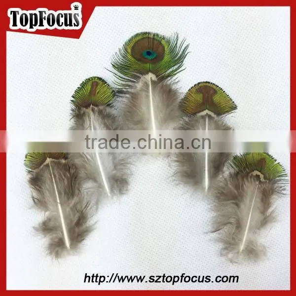 New Trendy Gold Color Cheap Artificial Peacock Feathers for Sale photo-2