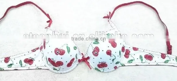 Cherry Bra/ Fashion Spandex Bra Sexy Bra Underwear Made in China photo-2
