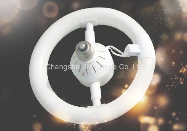 Chinese Factory Supply New Design Energy Saving Circle Lamp, Light photo-4