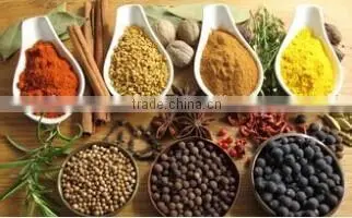 Automatic Electromagnetic Vibrating Feeder for Granular/powder/moist/sticky Products Use photo-5
