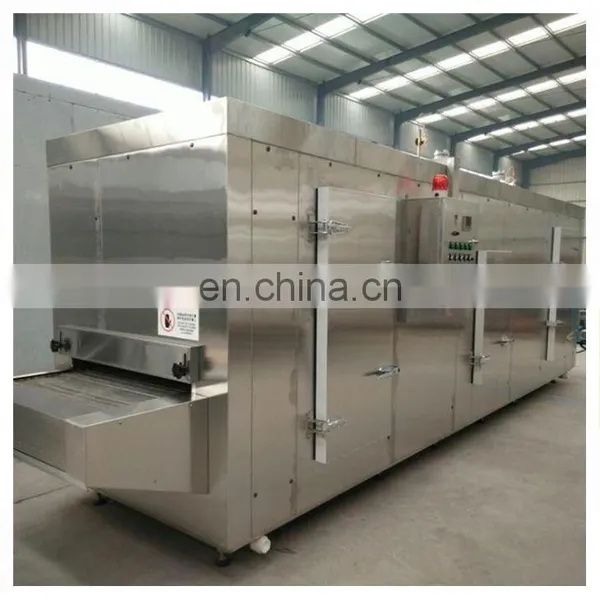Complete Sea Buckthorn Branch Freezing Machine for the Sea Buckthorn Fruit Processing photo-3
