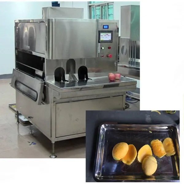 Mango Chips Mango Peeling Machine in Fruit Processing Line photo-5