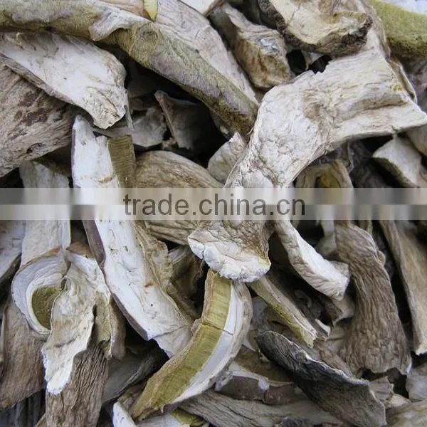 Wild Dried Boletus Mushroom Price From Yunnan photo-2