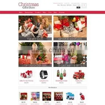 Ecommerce Website Designer photo-3