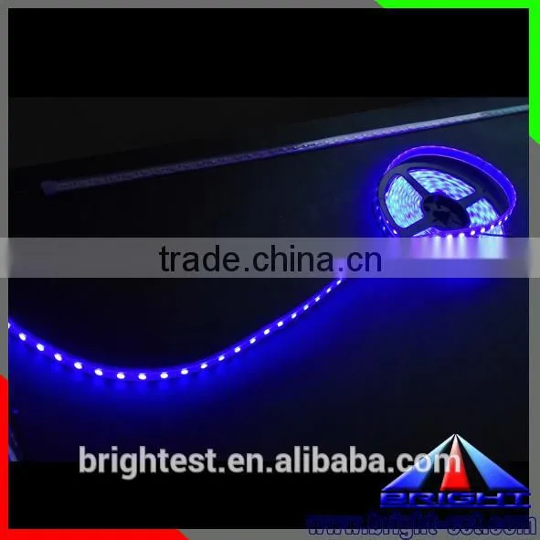 Reliable Reputation 12V Blue Led Strip 5050,SMD5050 Led Strip Light 12V photo-4