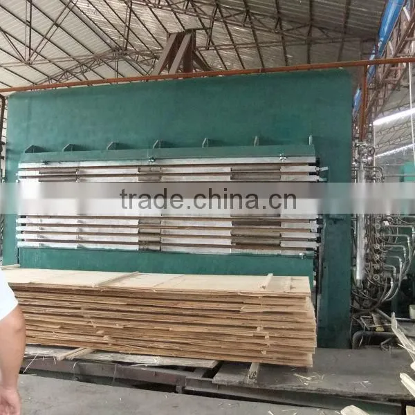 20MM LVL Plywood photo-6