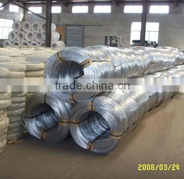 Galvanized Wire Factory /all Kinds of Galvanized Wire/ photo-6