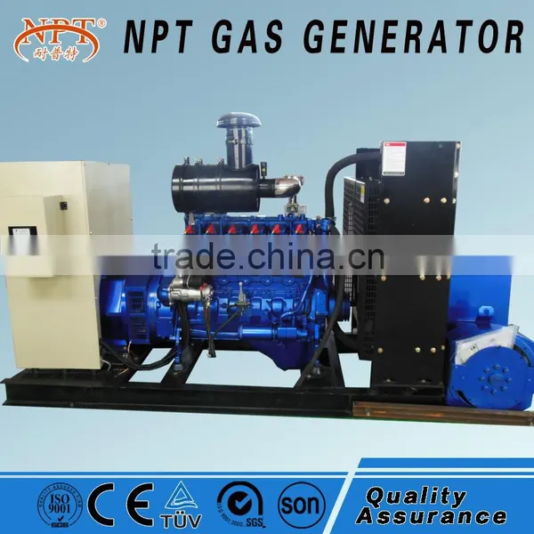 AC Three Phase Output Type Biomass Gas Electric Generator photo-4