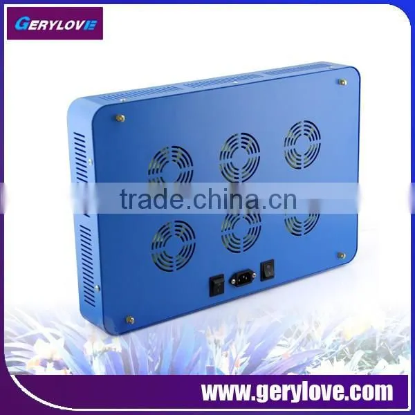 Full Spectrum Grow Light Led 1000 Watt Led Lights Grow photo-5