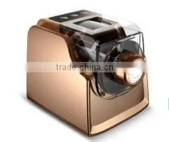 Fashitionbale Industrial Pasta Maker