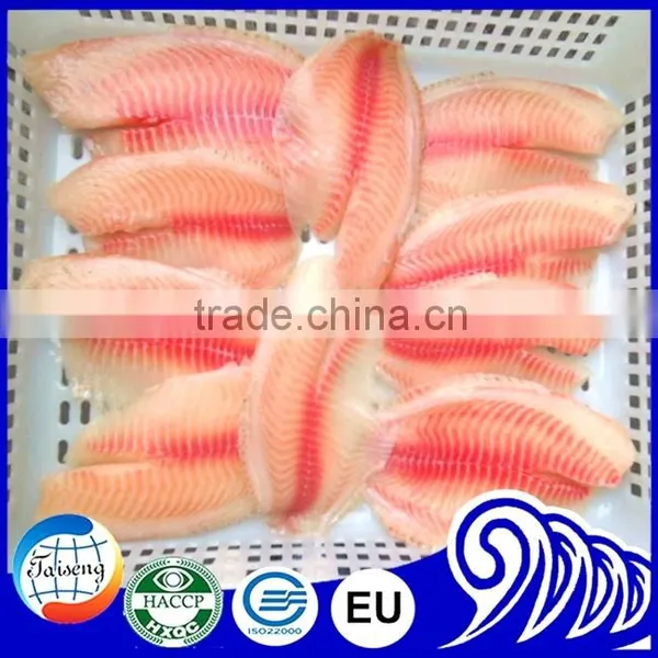Bulk Tilapia Fillet for Tilapia Buyer photo-6