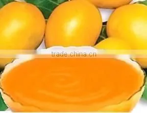 Fresh Alphonso Mango Pulp photo-5